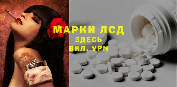 spice Беломорск