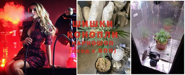 spice Беломорск