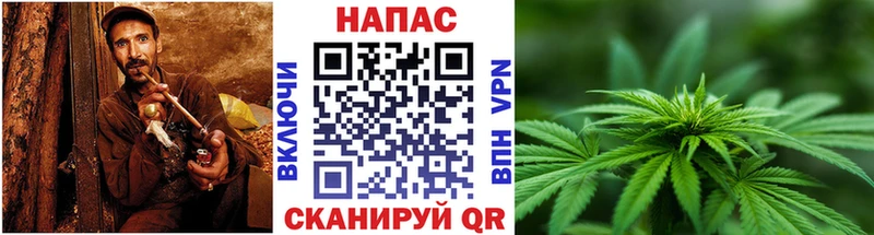 Бошки марихуана семена Купить где Белебей